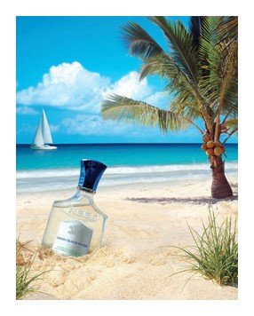 Virgin Island Water Perfume Creed