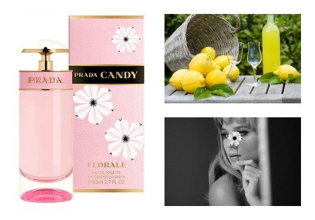 عطر برادا كاندي الجديد 2014 Prada Candy Florale