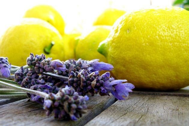 الليمون و اللافندر lemon and lavender